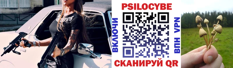 Галлюциногенные грибы Cubensis Богучар