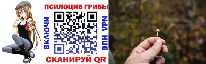 Галлюциногенные грибы Psilocybine cubensis  Богучар 